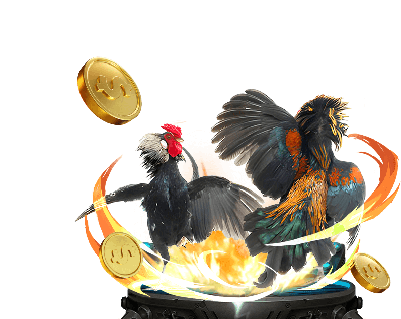 Cá cược Thể Thao winvn