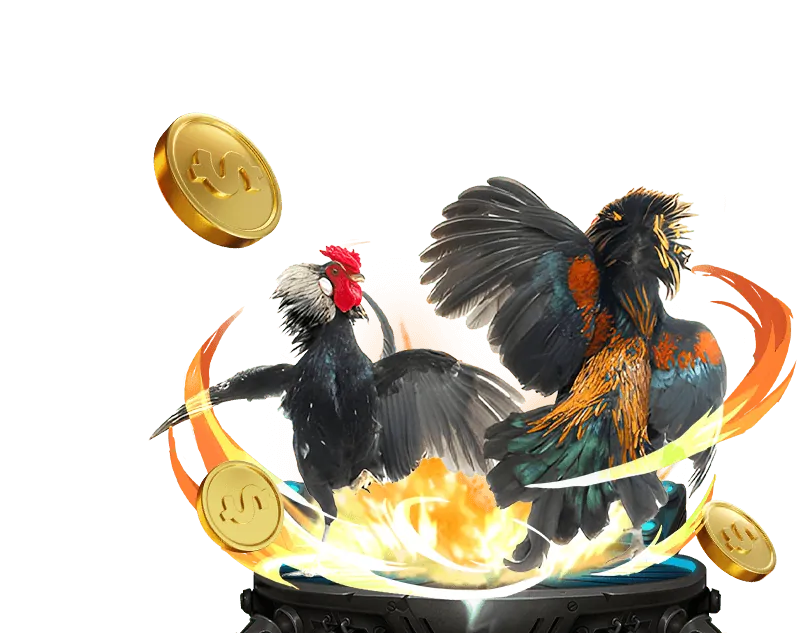 Cá cược Thể Thao winvn